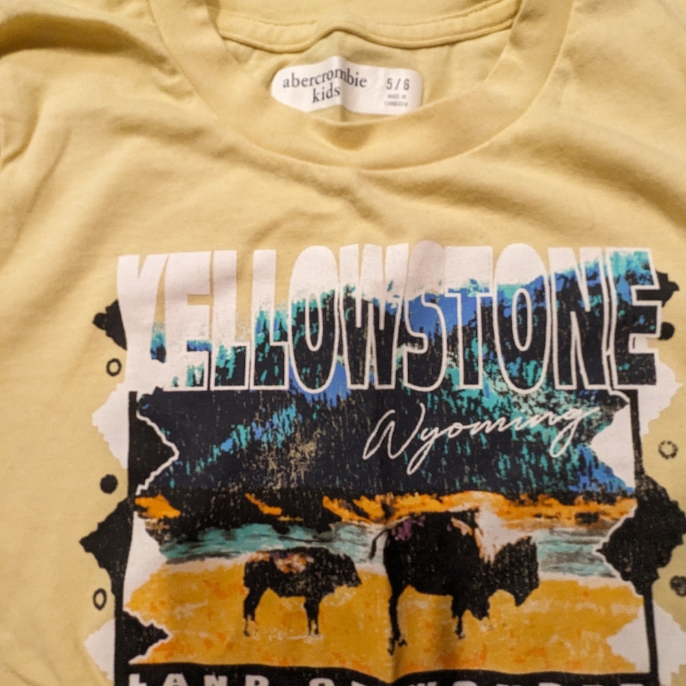 Two lovely 6T shirts